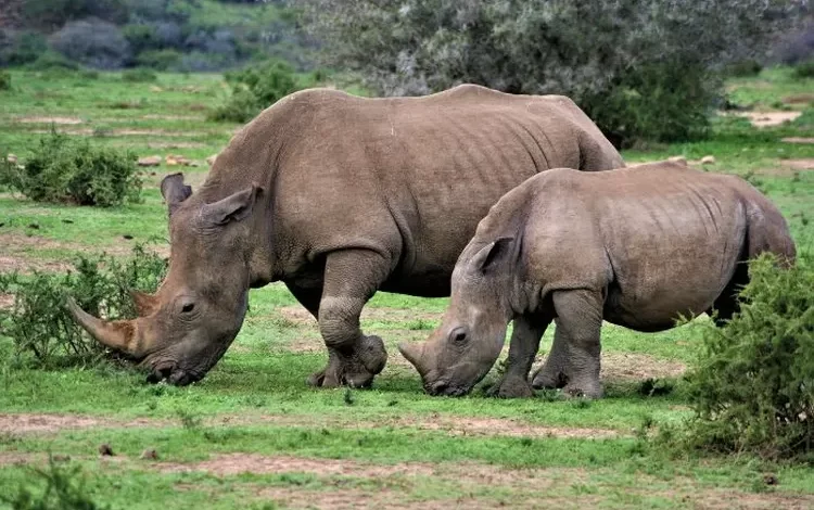 5 Destinasi Wisata Paling Populer di Banten