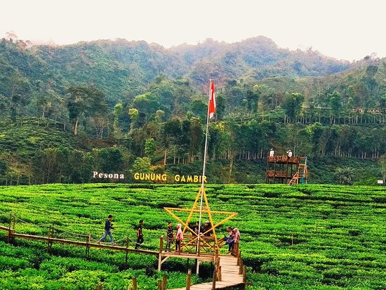 4 Destinasi Wisata Jember Paling Banyak di Kunjungi Wisatawan